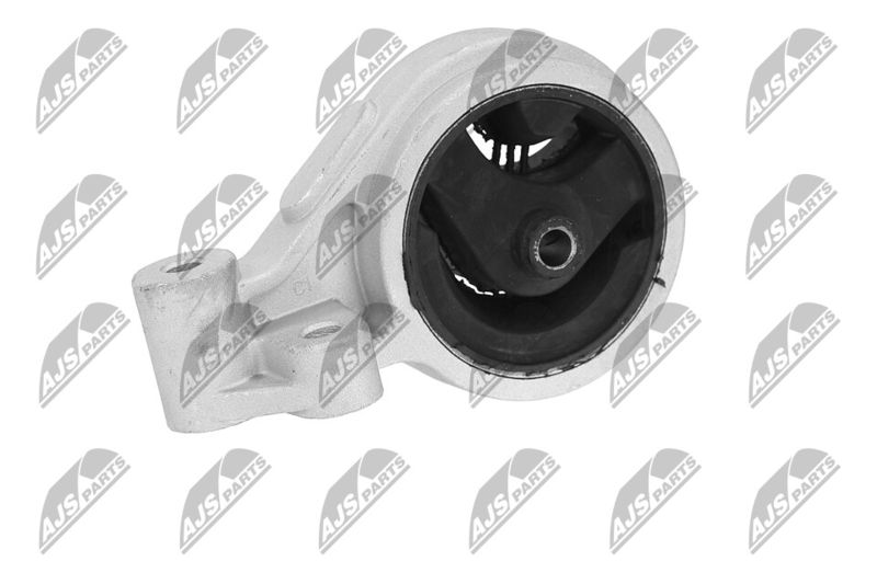 Paigutus, Mootor, NTY ZPS-KA-312