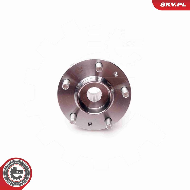 ESEN SKV 29SKV164 Wheel Bearing Kit