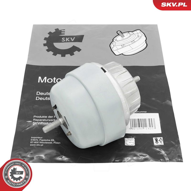 Paigutus, Mootor, ESEN SKV 75SKV295