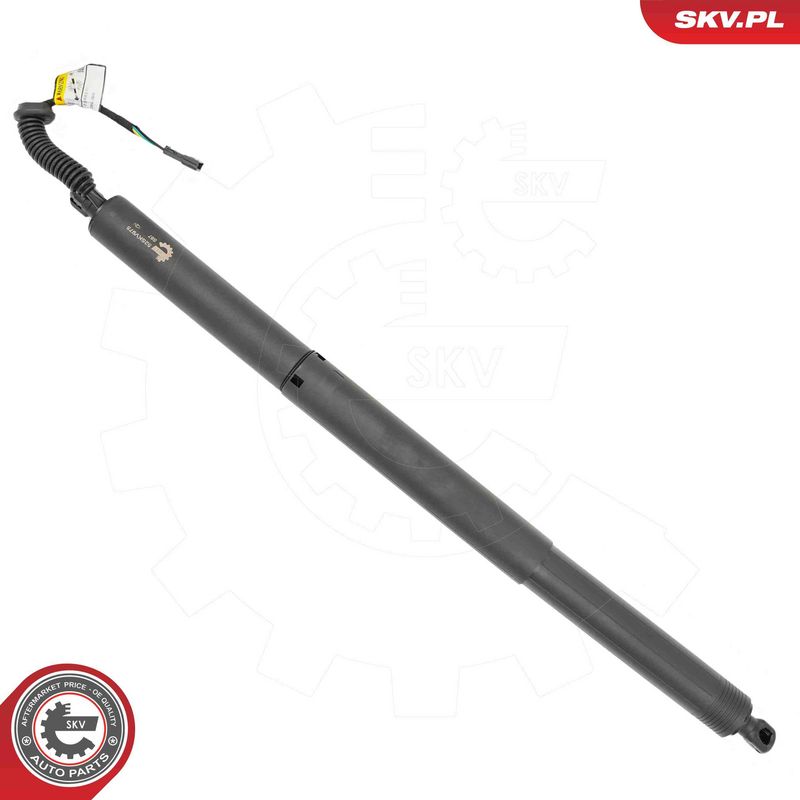 ESEN SKV 52SKV975 Electric Motor, tailgate