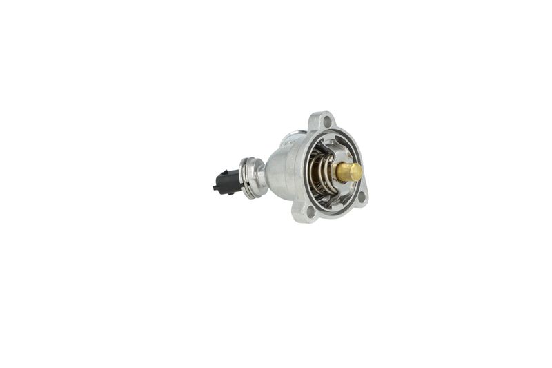 NRF 725298 Thermostat, coolant