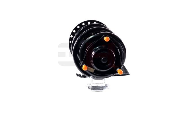 Vedruamort, GH GH-353057C01