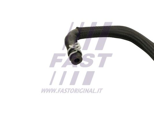 FT61498_4_1.JPG
