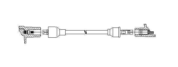355_.JPG