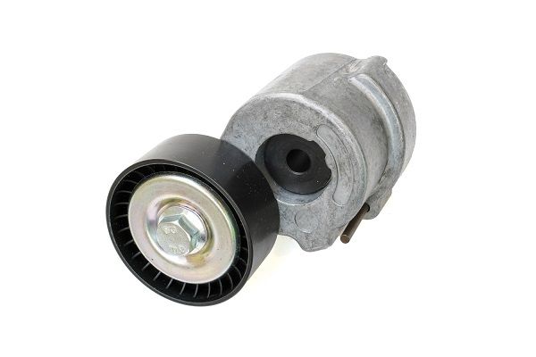intinzator,curea transmisie ASAM AUTOMOTIVE 101301