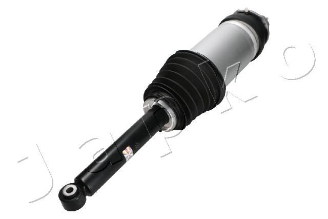 MJAS229_1.JPG