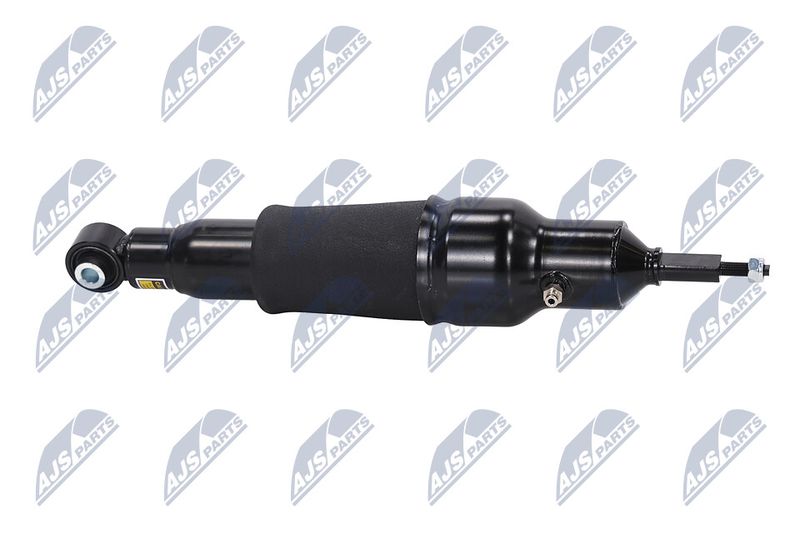 Amort, NTY A-NS-051