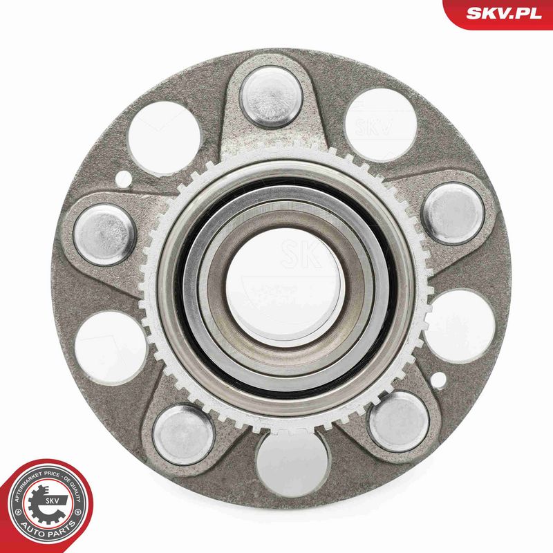ESEN SKV 29SKV655 Wheel Bearing Kit