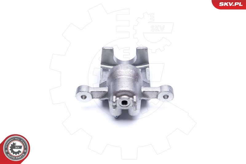 ESEN SKV 42SKV564 Brake Caliper