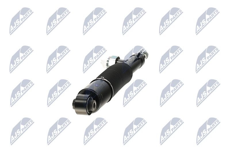 Amort, NTY A-NS-055