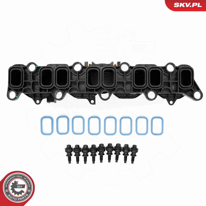 ESEN SKV 49SKV089 Intake Manifold Module