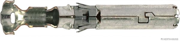 50251863.JPG