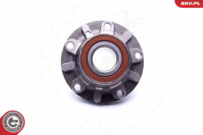 ESEN SKV 29SKV190 Wheel Bearing Kit