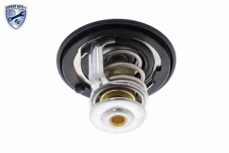ACKOJA A26-99-0010 Thermostat, coolant