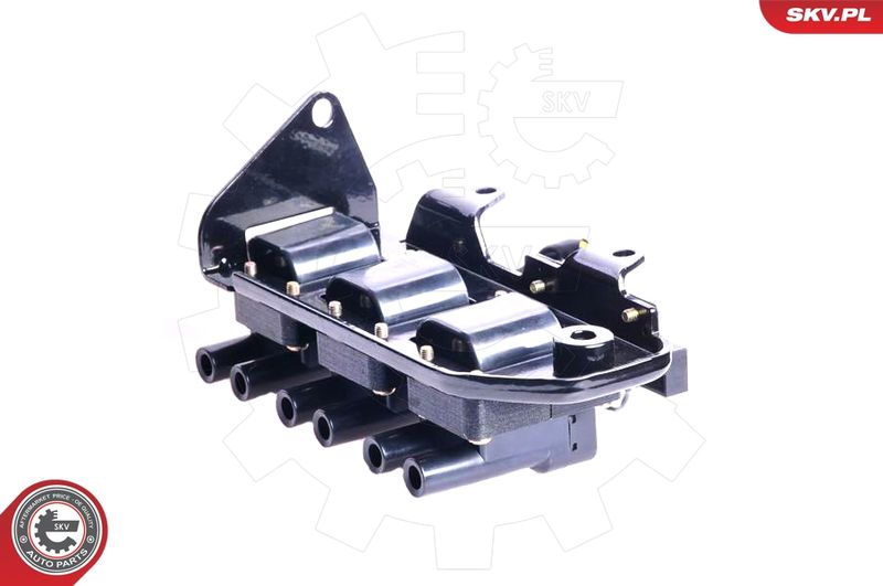 ESEN SKV 03SKV073 Ignition Coil