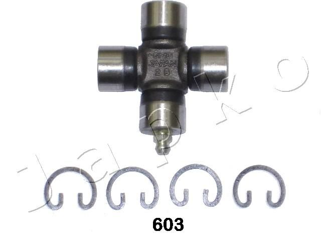 66603_1.JPG