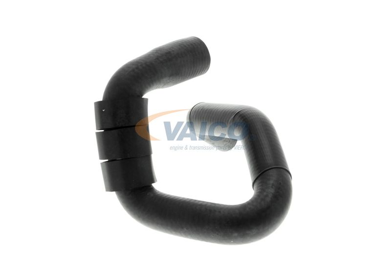 VAICO V10-4664 Talosa Radiator Hose