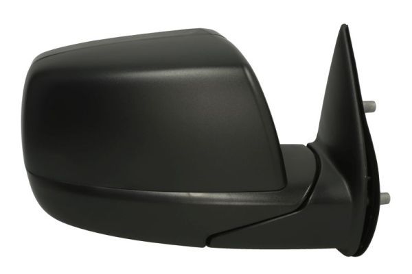 BLIC 5402-03-2001230P Exterior Mirror