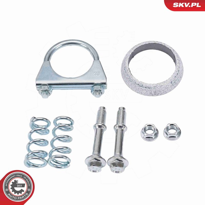 ESEN SKV 62SKV163 Catalytic Converter