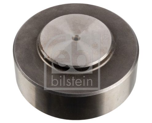 FEBI BILSTEIN Guolis, pasukamasis kakliukas