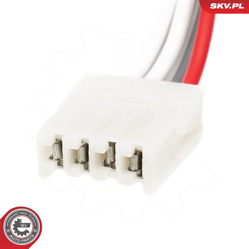 Roolilukk, ESEN SKV 65SKV223