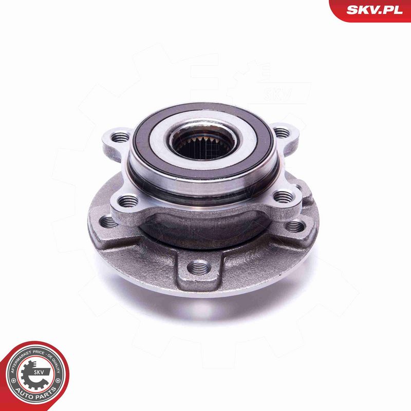 ESEN SKV 29SKV539 Wheel Bearing Kit