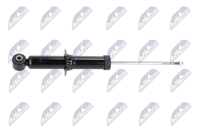 Amort, NTY A-CH-058