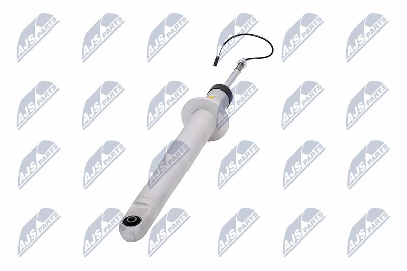 Amort, NTY A-MA-003