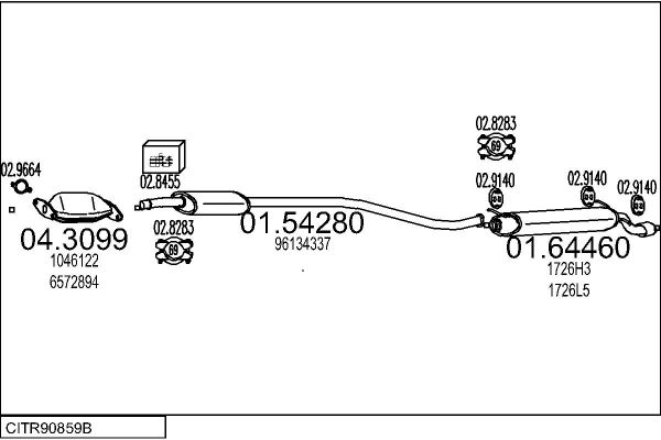 CITR90859B.JPG