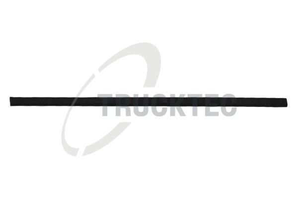 TRUCKTEC AUTOMOTIVE 08.62.903 - Trim/Protection Strip, door