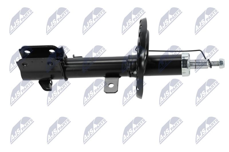 Amort, NTY A-NS-023