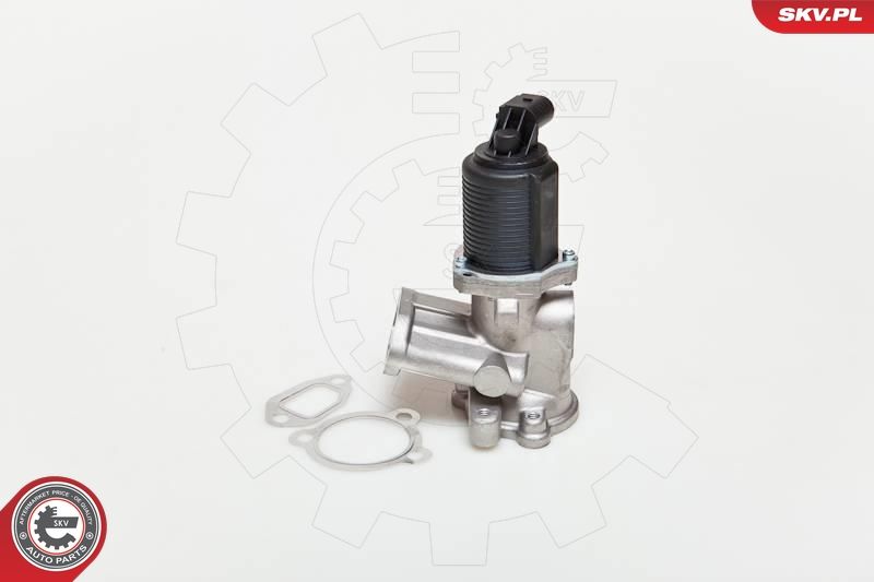 ESEN SKV 14SKV039 EGR Valve