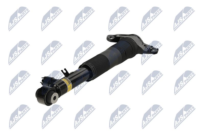 Amort, NTY A-LR-036