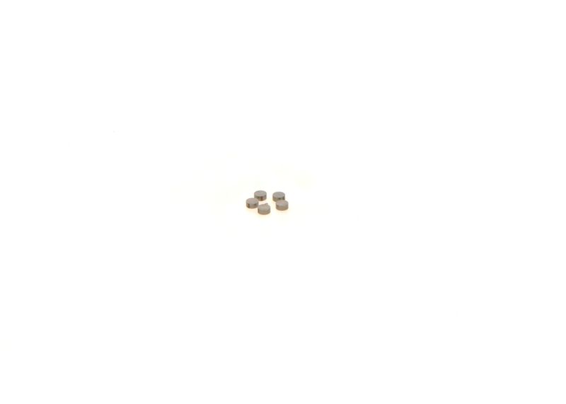 BOSCH 1410067231 Washer