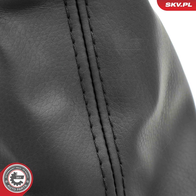 Käigukanginupp, ESEN SKV...