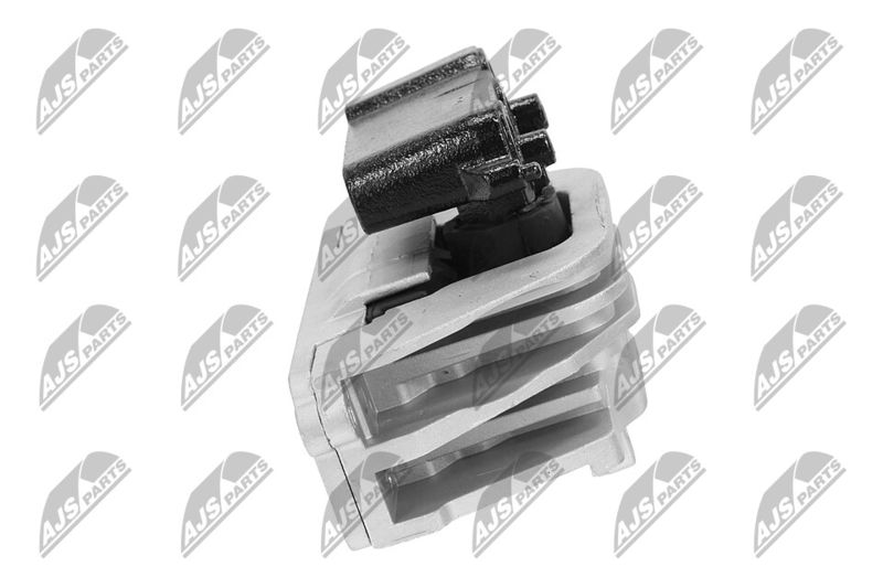 Paigutus, Mootor, NTY ZPS-CH-103