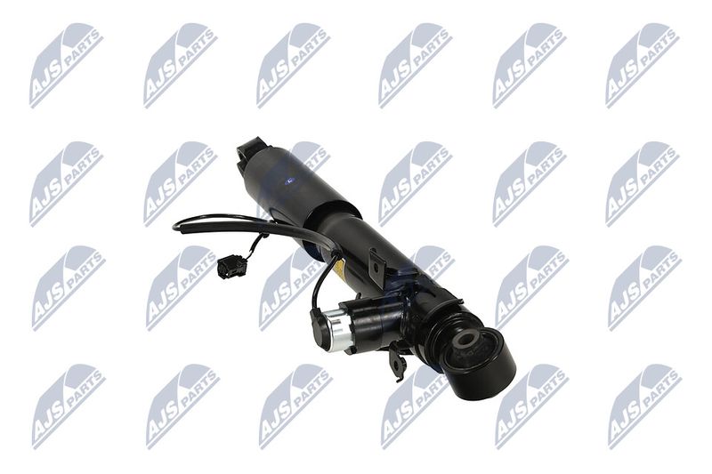 Amort, NTY A-TY-095