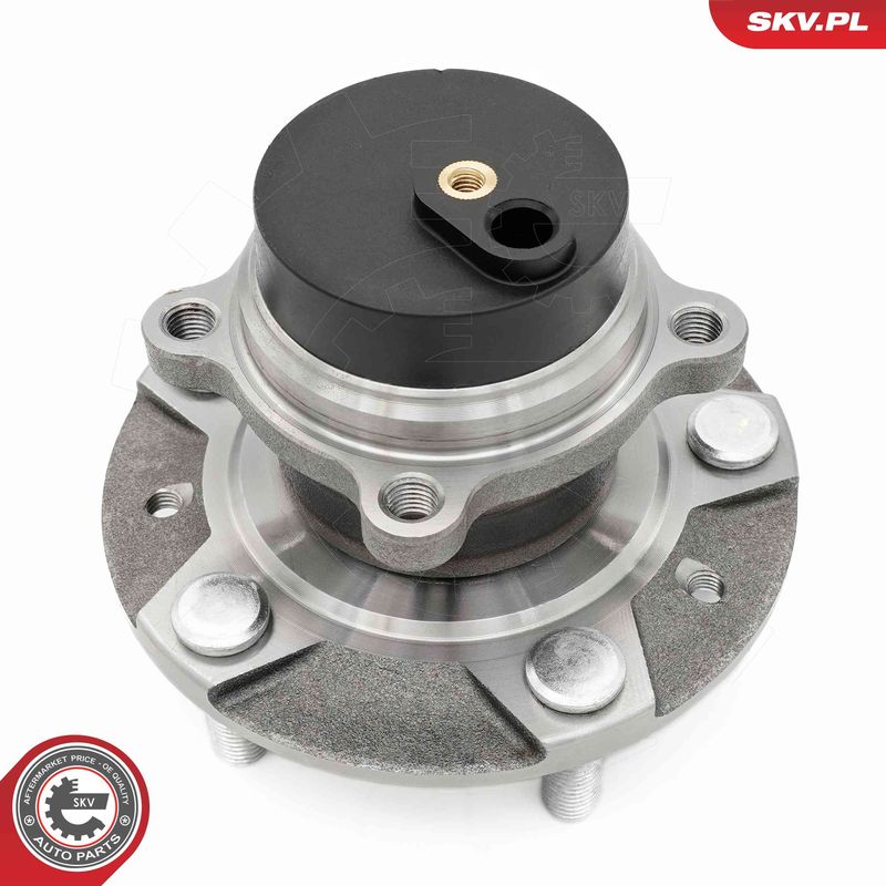 ESEN SKV 29SKV620 Wheel Bearing Kit