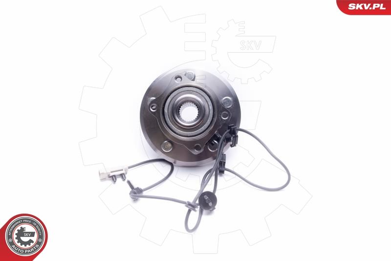 ESEN SKV 29SKV321 Wheel Bearing Kit