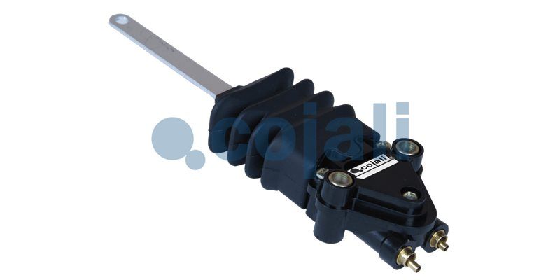 Supapa perna aer COJALI 2214511
