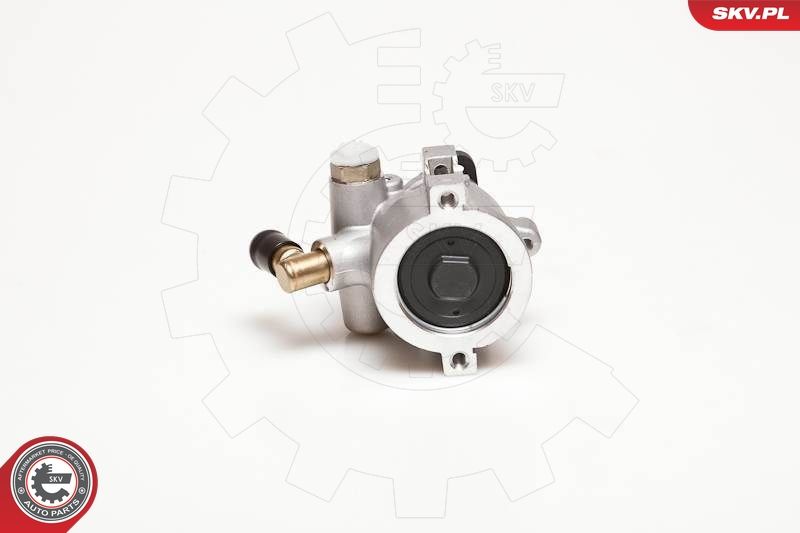 ESEN SKV 10SKV053 Hydraulic Pump, steering