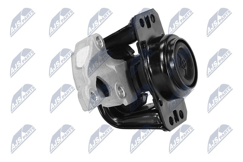 Paigutus, Mootor, NTY ZPS-PE-012