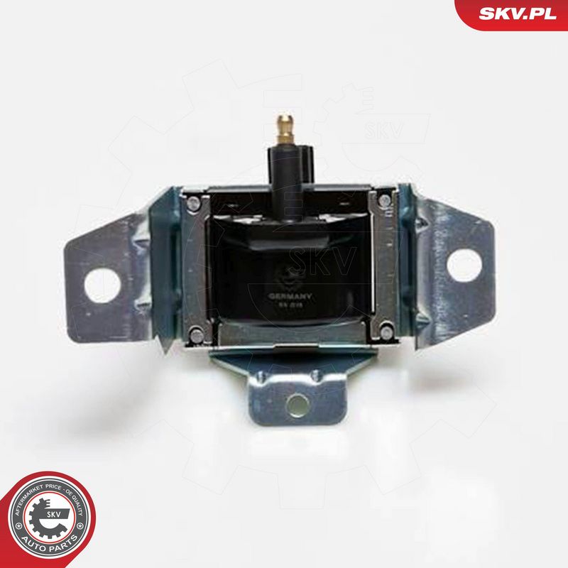 ESEN SKV 03SKV069 Ignition Coil