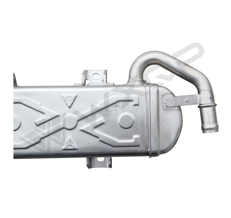 WXQP 381691 EGR Module