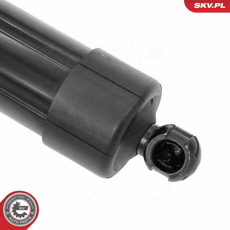 ESEN SKV 52SKV215 Electric Motor, tailgate