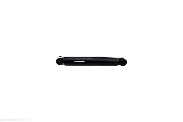 AUTOMEGA 110002510 Shock Absorber