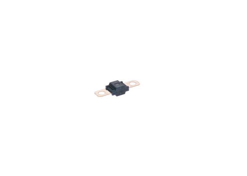 BOSCH 1987531011 Fuse