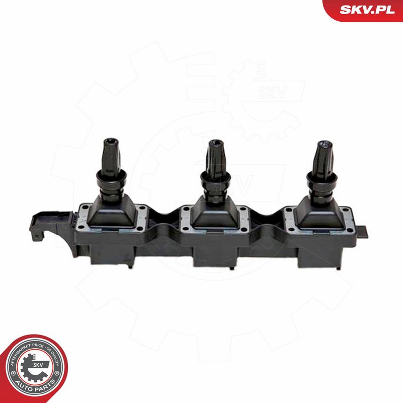 ESEN SKV 03SKV114 Ignition Coil