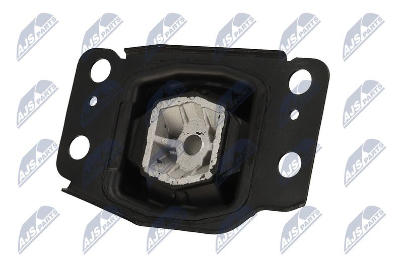 Paigutus, Mootor, NTY ZPS-FR-036