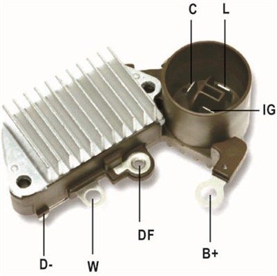 DDF_AMP0817_WR.JPG